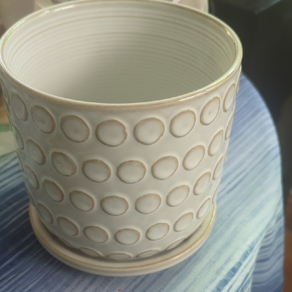 Elegant Cream Textured Planter